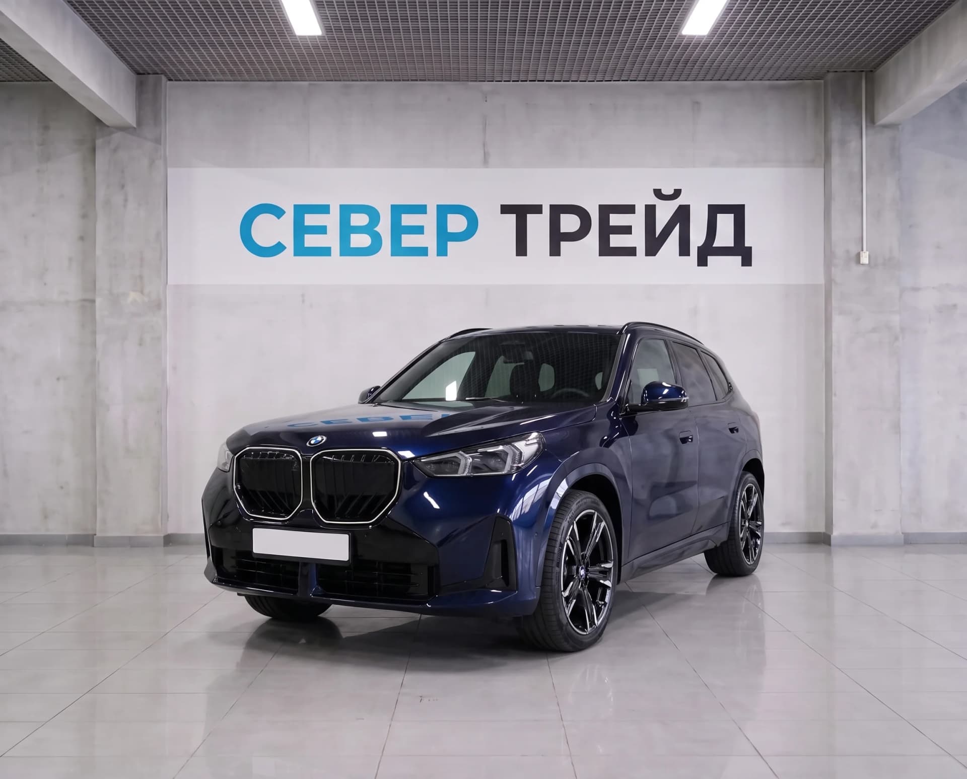 BMW X3, IV (G45/G48) — фото 1